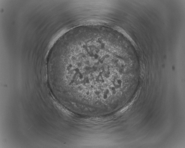 X0000077291075200611101337