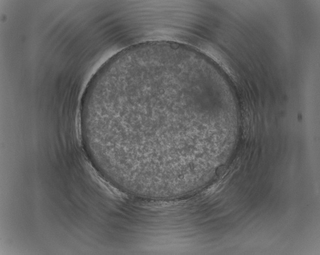 X0000077291076200611101337