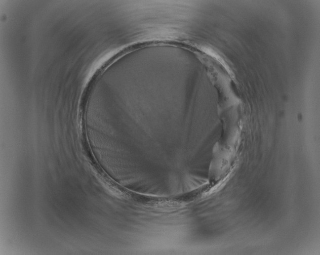 X0000077291077200611101337