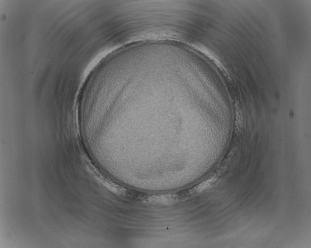 X0000077291078200611101337