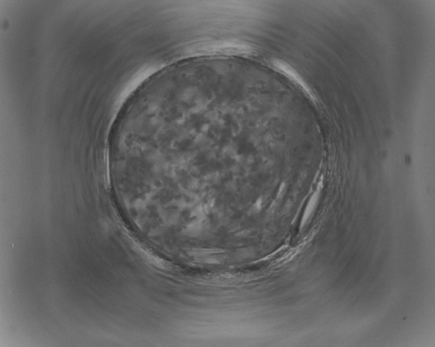 X0000077291079200611101337