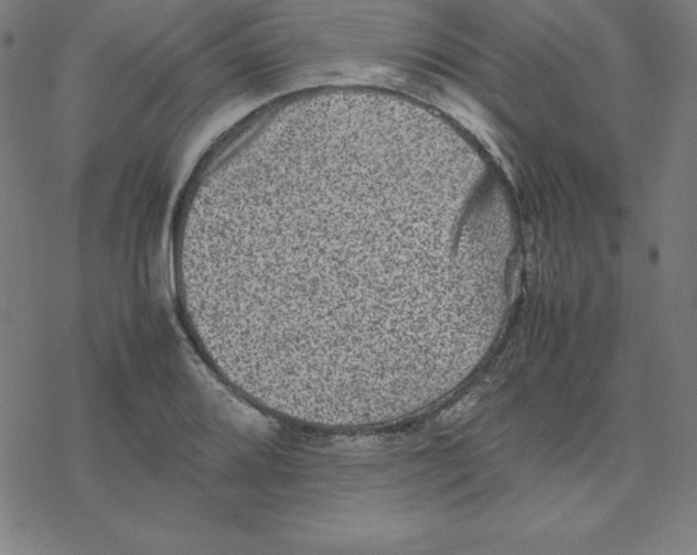 X0000077291080200611101337