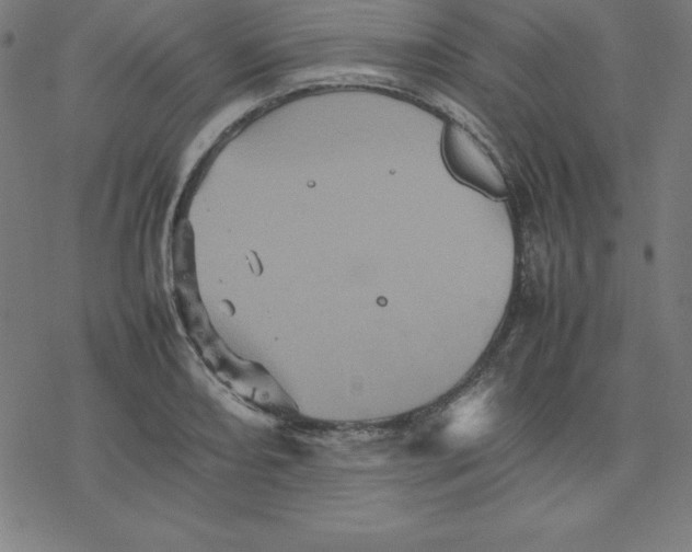 X0000077291082200611101337