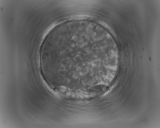 X0000077291083200611101337