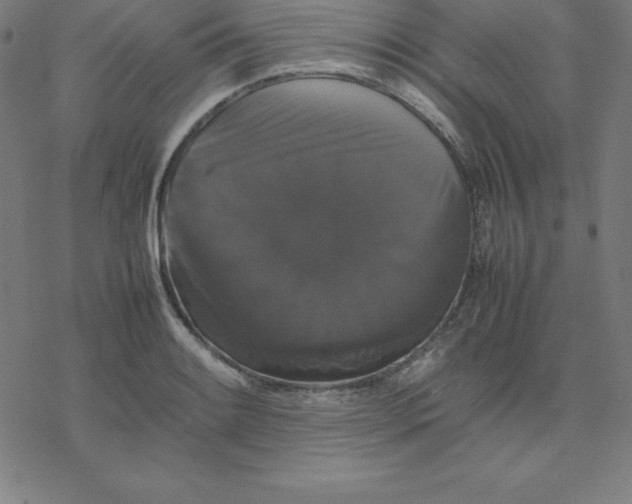 X0000077291084200611101337