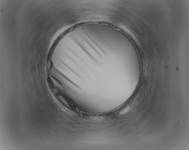 X0000077291085200611101337