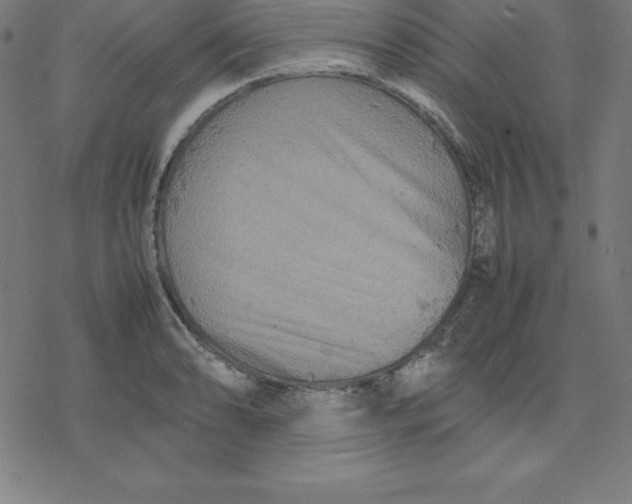 X0000077291086200611101337