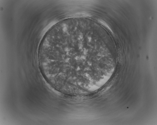 X0000077291087200611101337