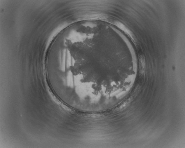 X0000077291088200611101337