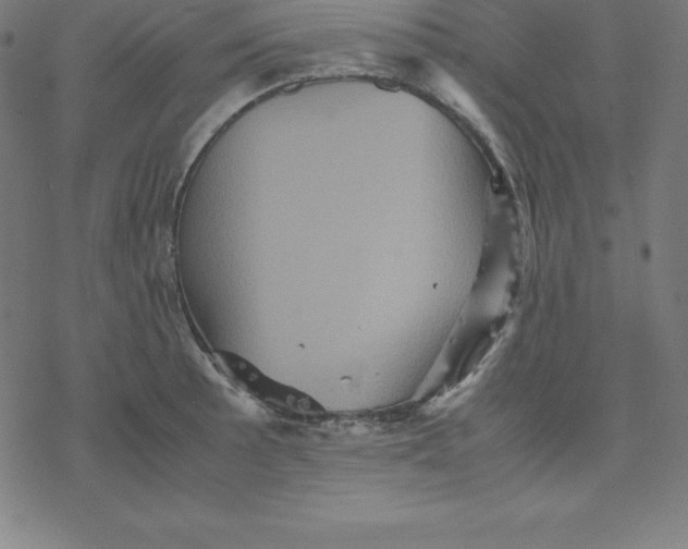 X0000077291089200611101337