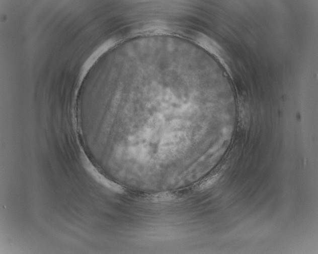 X0000077291090200611101337