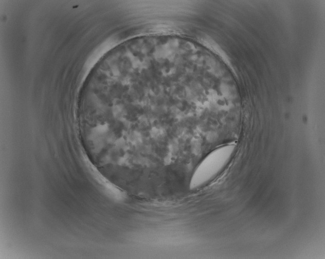 X0000077291091200611101337