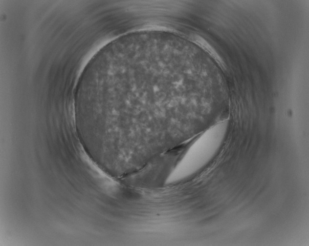 X0000077291092200611101337