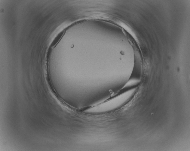 X0000077291093200611101337