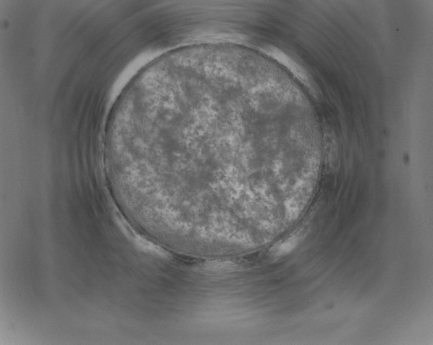 X0000077291094200611101337