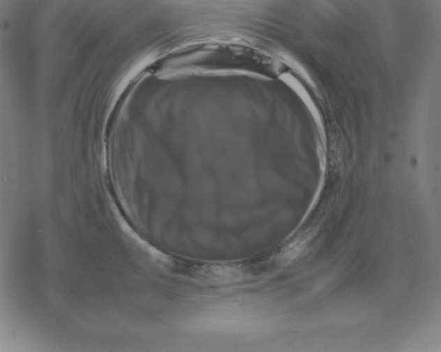 X0000077291095200611101337