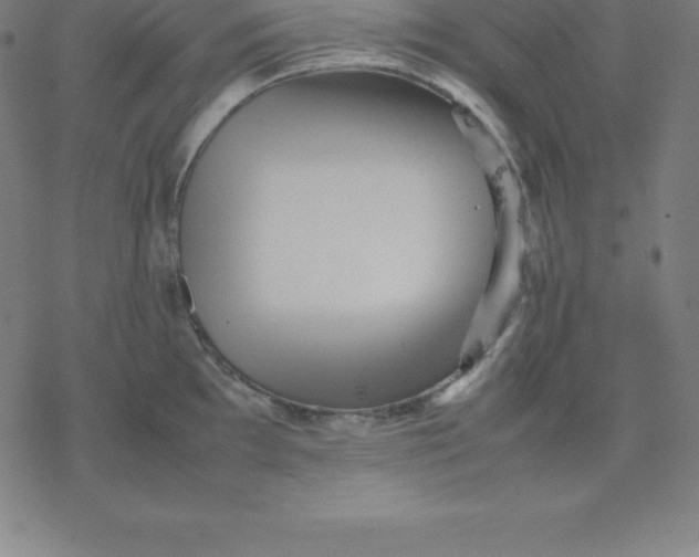 X0000077291097200611101337