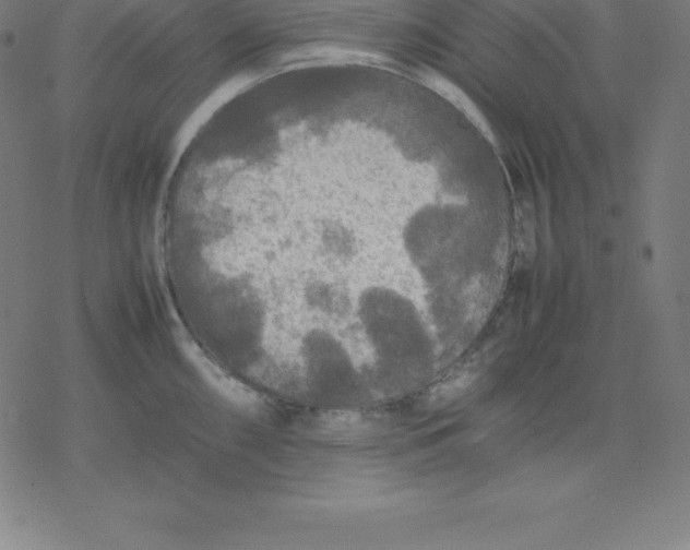 X0000077291098200611101337