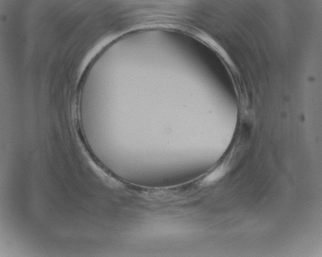 X0000077291101200611101336