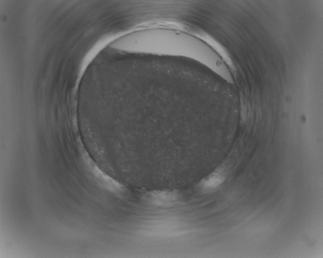 X0000077291102200611101336