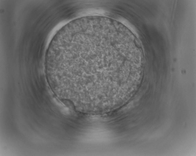 X0000077291104200611101336