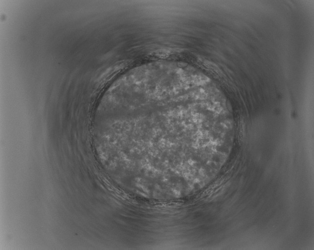 X0000077291105200611101336