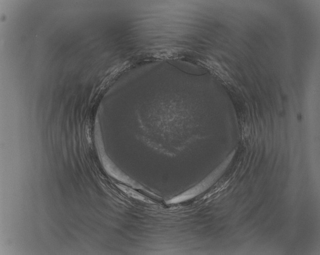 X0000077291106200611101336