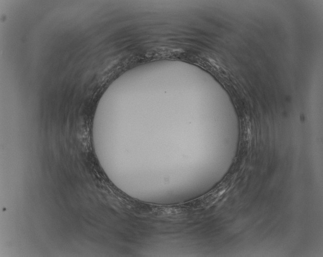 X0000077291109200611101336