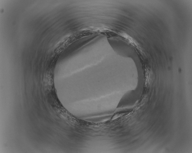 X0000077291110200611101336