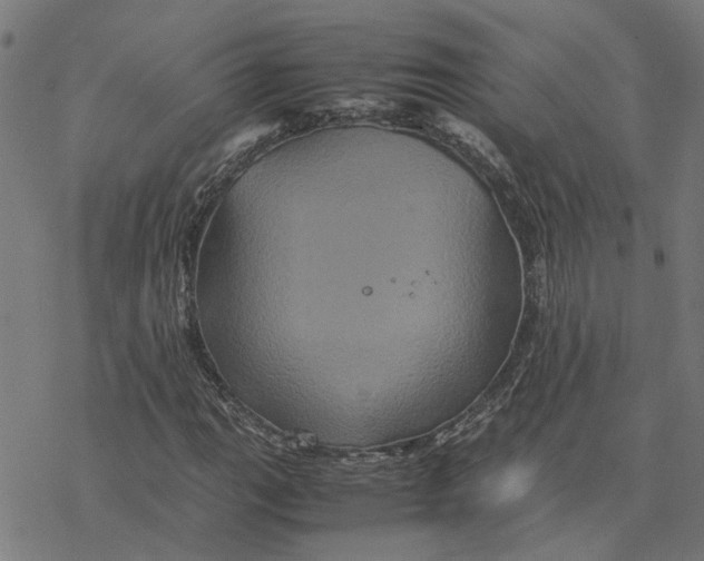 X0000077291111200611101336