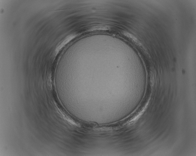 X0000077291113200611101336