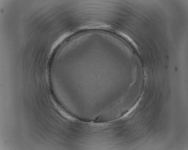 X0000077291114200611101336