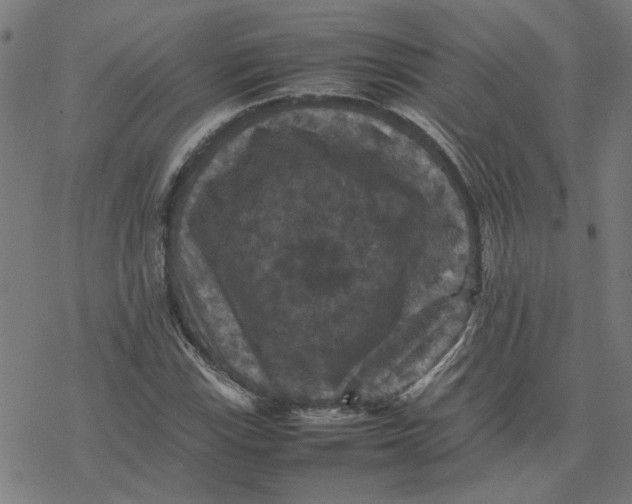 X0000077291115200611101336