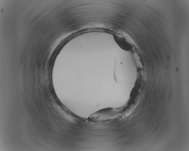 X0000077291116200611101336