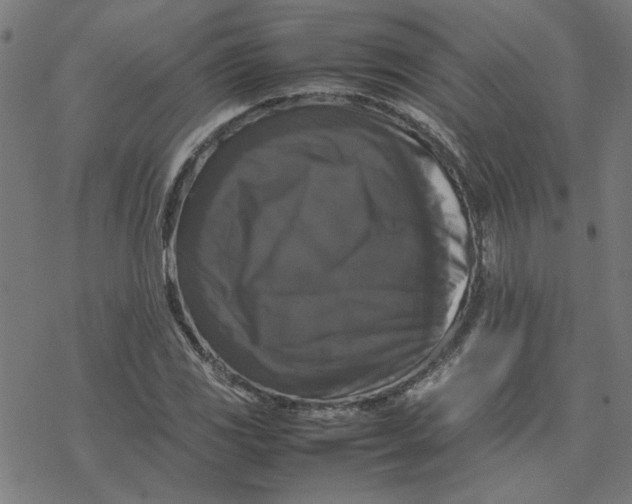 X0000077291117200611101336