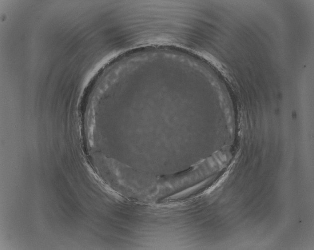 X0000077291118200611101336