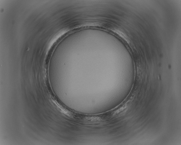 X0000077291119200611101336