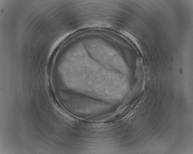 X0000077291120200611101336