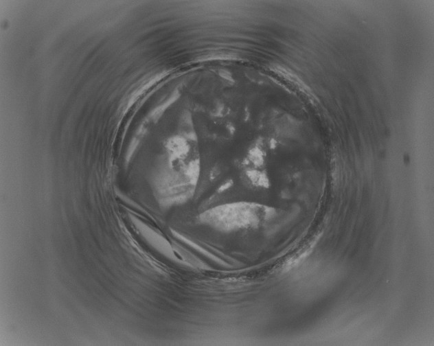 X0000077291121200611101336