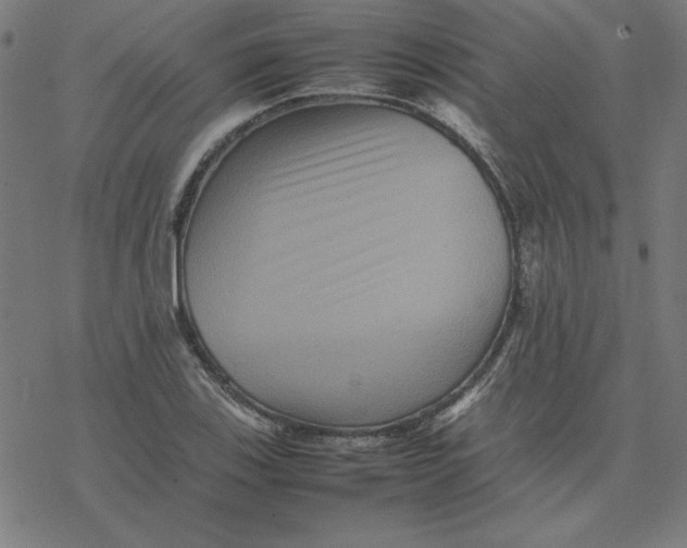 X0000077291123200611101336