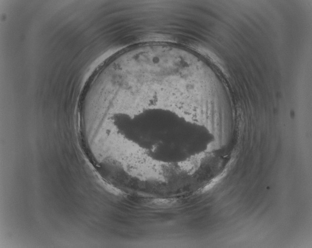 X0000077291125200611101336