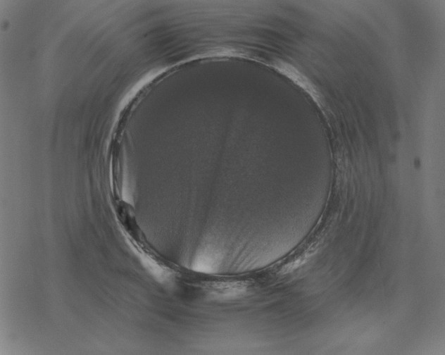 X0000077291127200611101336