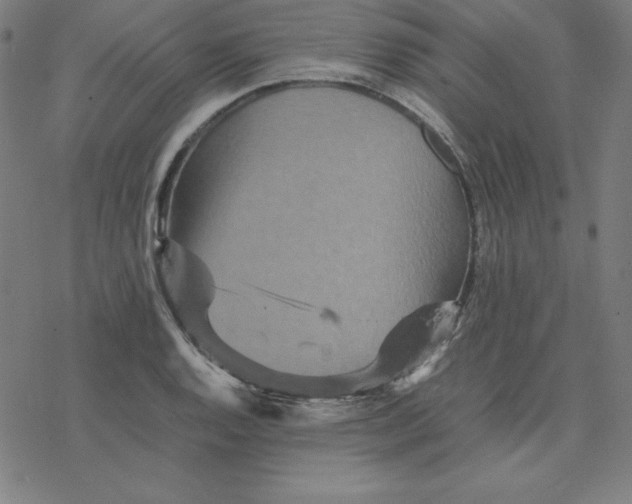 X0000077291128200611101336