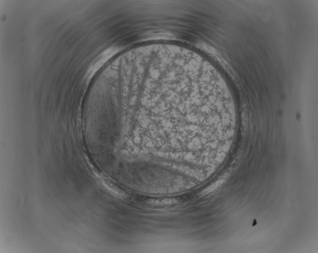 X0000077291129200611101336