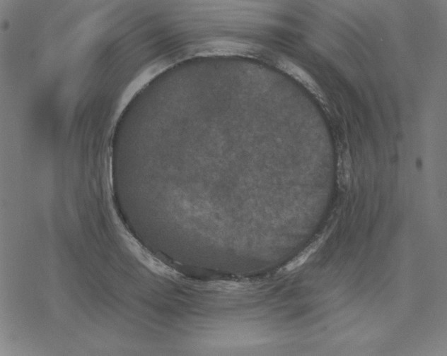 X0000077291130200611101336