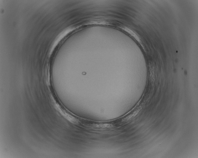 X0000077291131200611101336