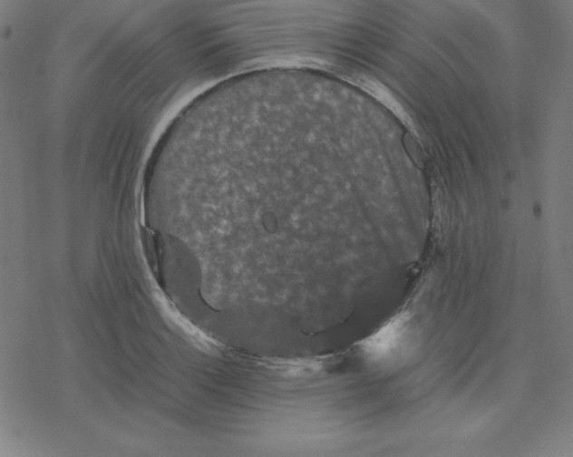 X0000077291132200611101336