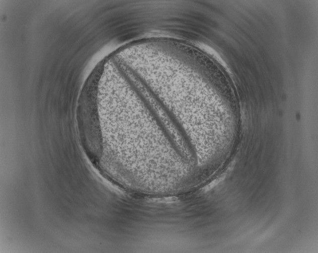 X0000077291133200611101336