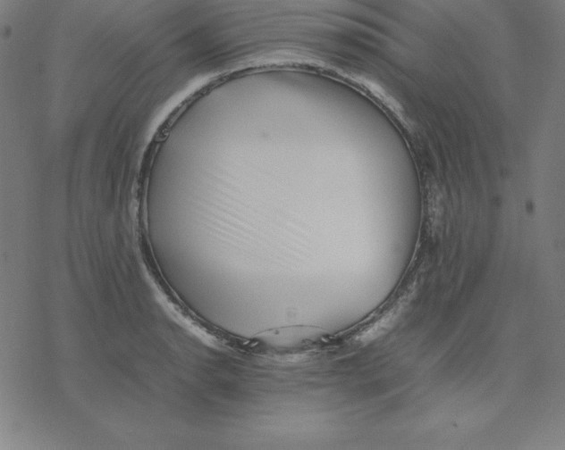 X0000077291134200611101336