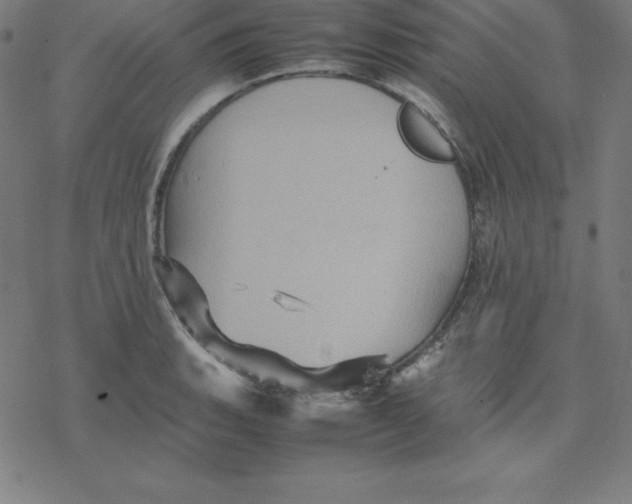 X0000077291135200611101336